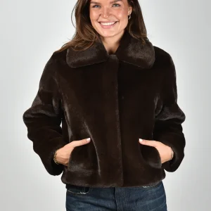 APParis jas Elis F4CT137ESP espresso