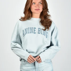 Anine Bing trui Miles A-08-12063-BEL41 light blue