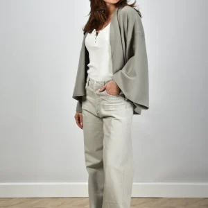 Agolde jeans Dame No Cuff A198-1207 colina