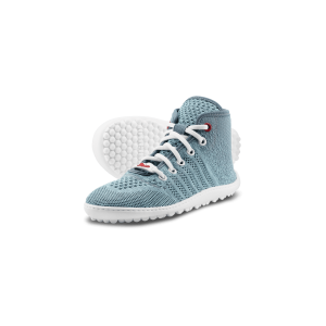 Leguanito Go: Seablue